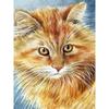 New 5D DIY Diamond Painting Cute Cat Diamond Embroidery Animals Cross Stitch Full Square Round Drill Home Decor Manual Art Gift