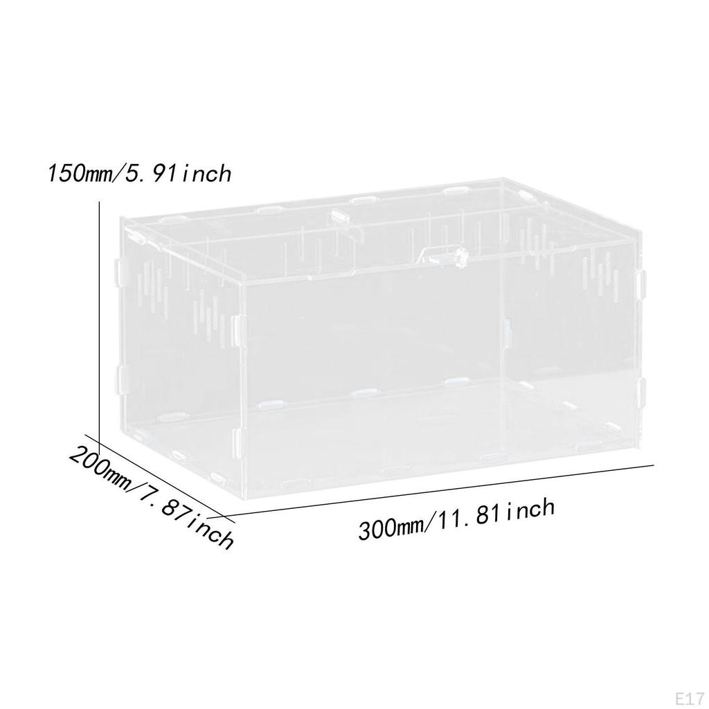 Reptile Breeding Box Animal Habitat Cage Clear Terrarium Enclosure for Geckos Young
