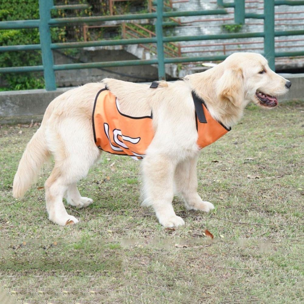 Breathable Dog Belly Protection Clothing Waterproof Dog Belly Pocket Training