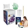 Colored Crystals Science Experiments Toy Grow a Crystal Crystal Making Kit  Boys