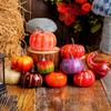 10pcs Harvest Festival Decor Pumpkin, Autumn Home Desk Decor Pumpkin, Fall Decorative Pumpkins