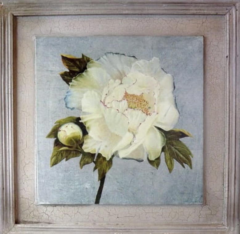 Aged White Peony Painting 38x38 cm - Flower Collection