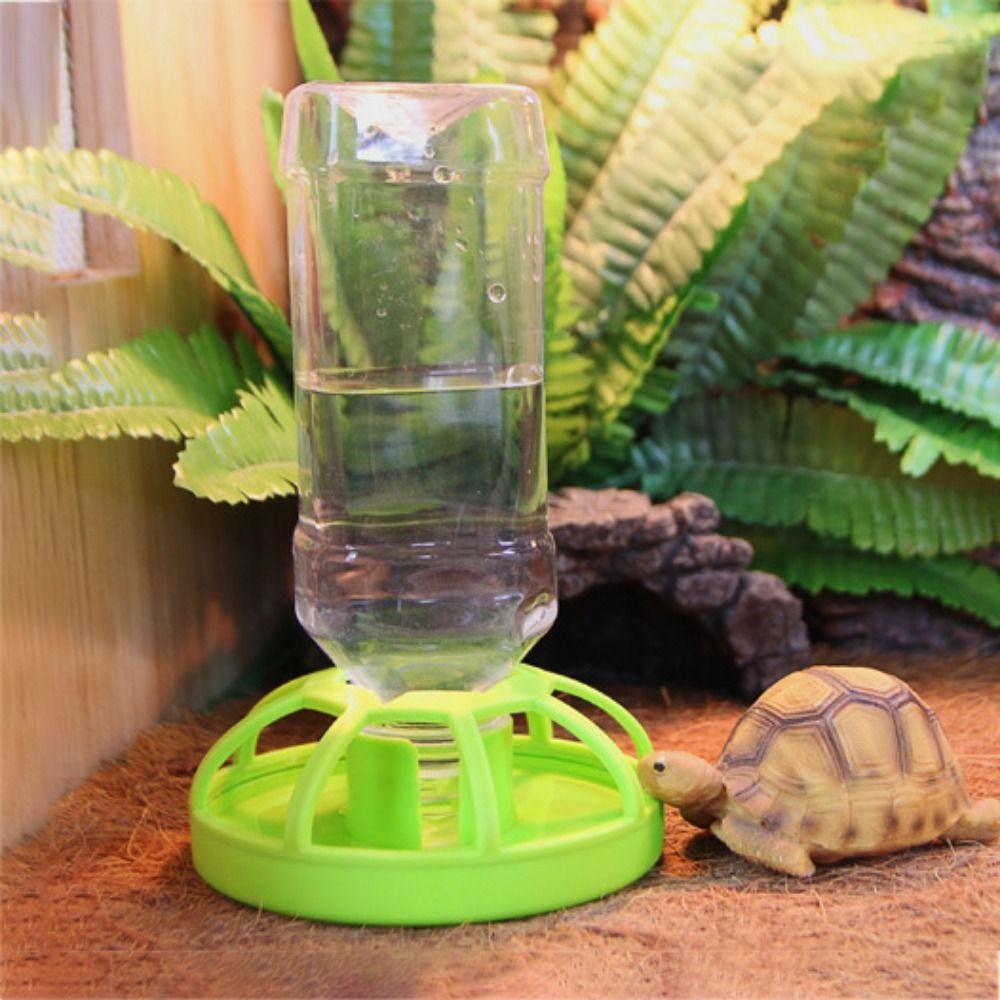 Accessories Turtle Food Container Lizard Food Bowel Reptile Feeder Tortoises Water Dispenser