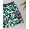 Jurassic World Boys Dinosaur Swim Shorts