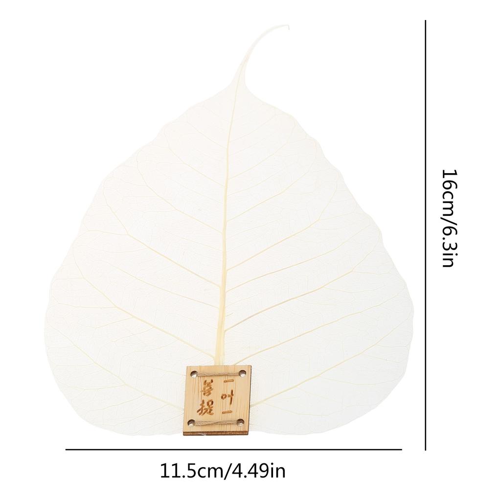 Натуральный чайный фильтр с листьями Bodhis, сетка для чая, ситечко для заварки, чайная посуда, аксессуары для утечки чая для кунг-фу, травы, специи