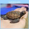 Turtle Resin Sea Arts And Crafts For Garden Micro Landscape And Decor Coastal
