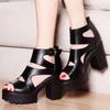 Women Thick Sole Boots Fish Mouth Women's High Heel Hollow Roman Sandals