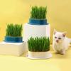 1PC New Pet Cat Sprout Dish Growing Pot Hydroponic Plant Cat Grass Germination Digestion Starter Dish Greenhouse Grow Box
