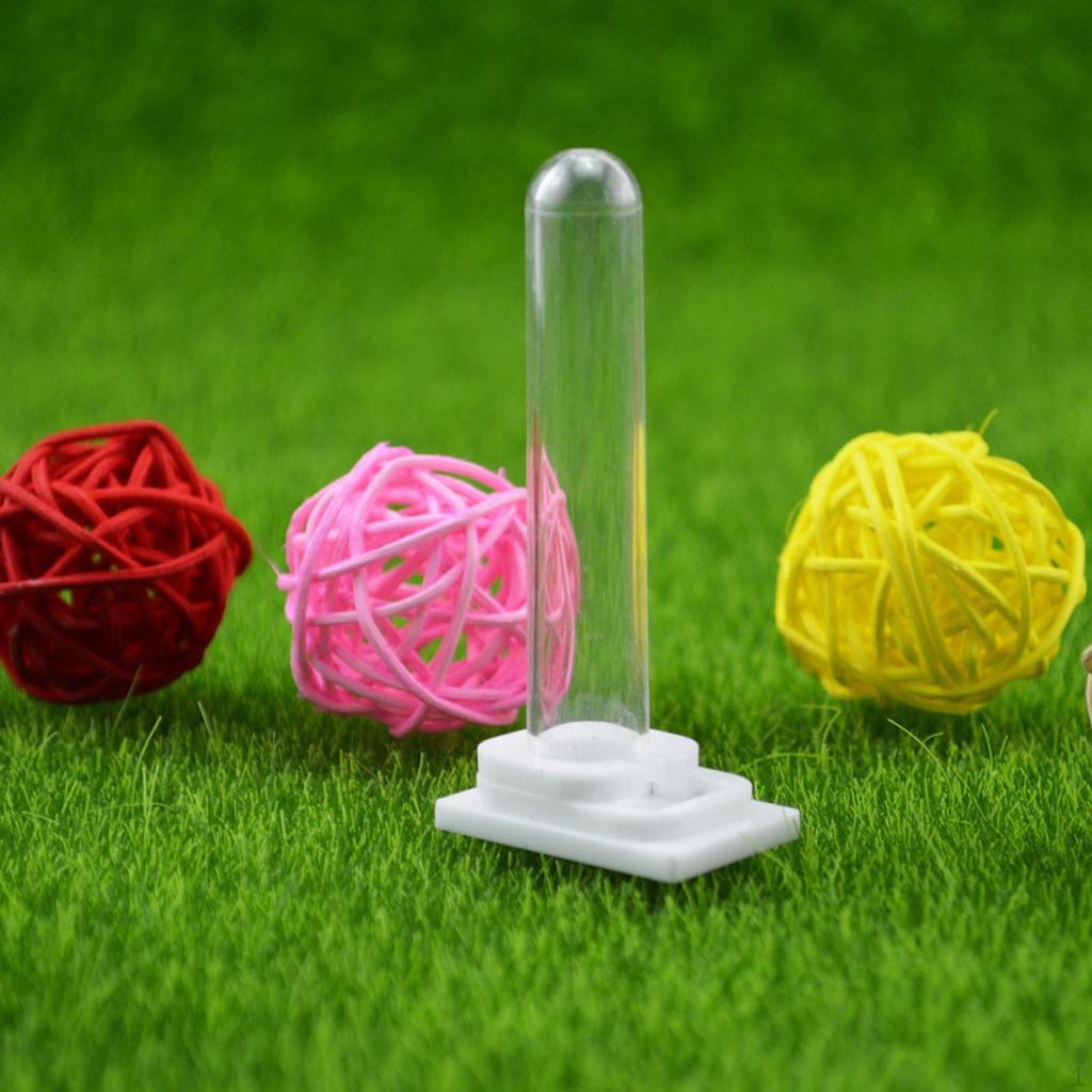 Water Cup Kit Drinking Accessories Small Watering Stations Tool Reusable Acrylic Storage