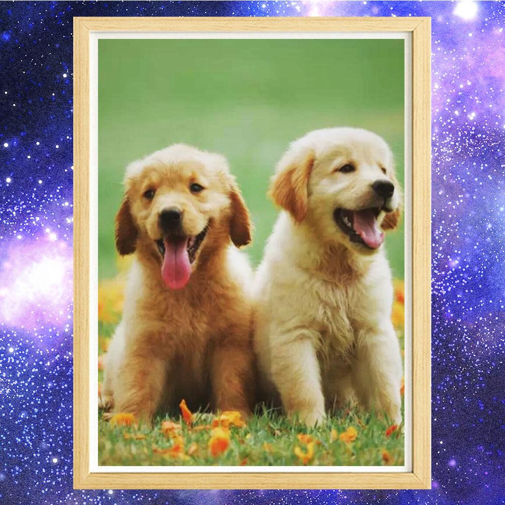 5D Алмазная картина Полный алмаз Животный Пейзаж Круглый Алмазная мозаика Узор Домашнее украшение Сделай сам Ручная работа