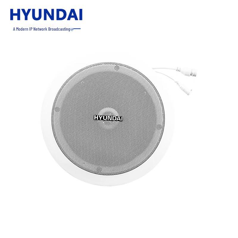 Hyundai IP Network Broadcasting Audio Systems CN plug (adapter included) (CN version)