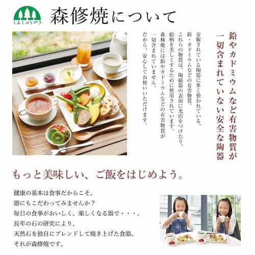 Shinshuyaki Ladle, 225mm Long (Made In Japan, Ceramic, Microwave Safe, Far Infrared, Negative Ion), White