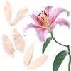 2Pcs Lily Petal Flower Veiners Silicone Molds Fondant Sugarcraft Gumpaste Clay Water Paper Cake Decorating Tools