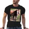 Belgian Draft Horse Foals in Lancaster County Pennsylvania TShirt High Quality Durable TShirt