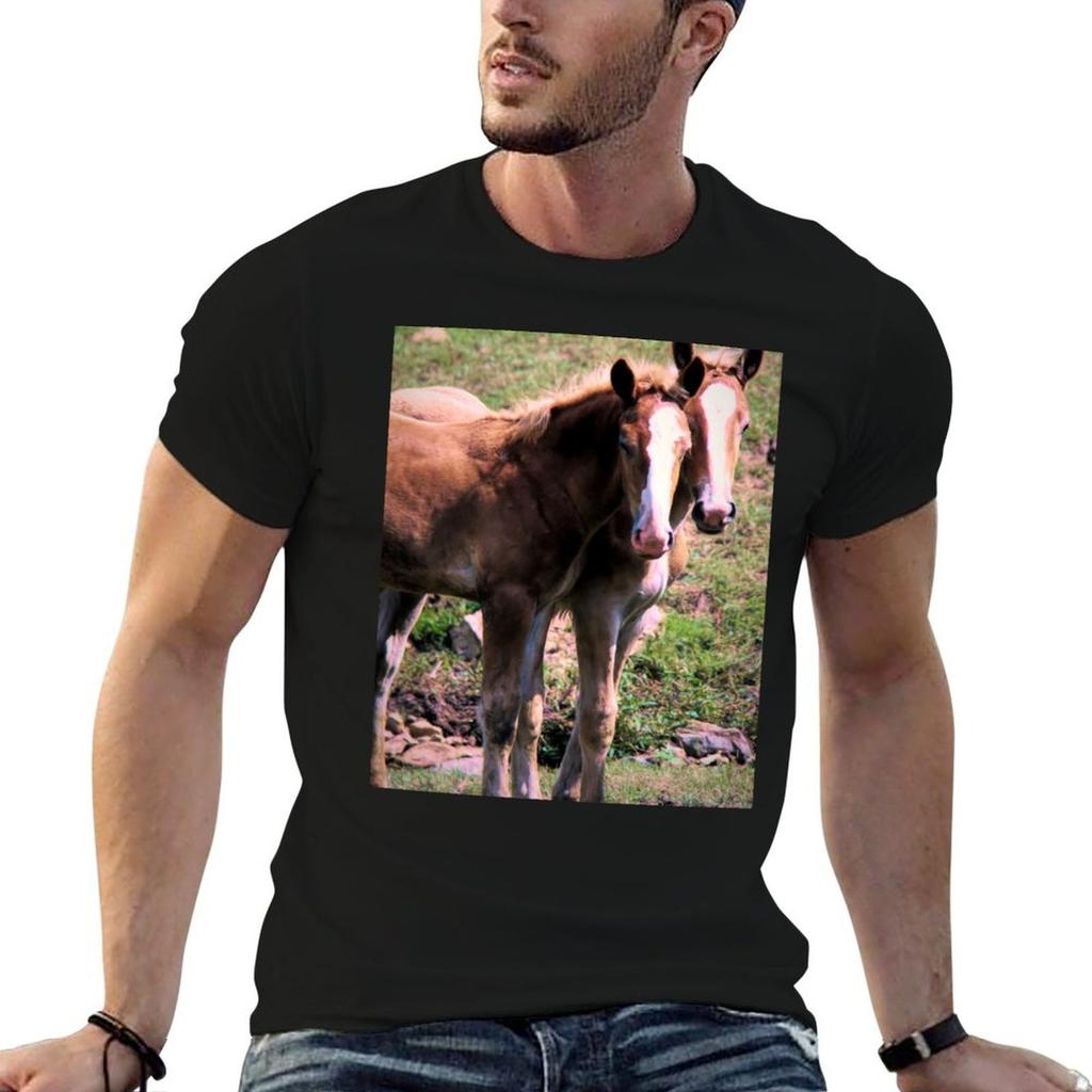 Belgian Draft Horse Foals in Lancaster County Pennsylvania TShirt High Quality Durable TShirt