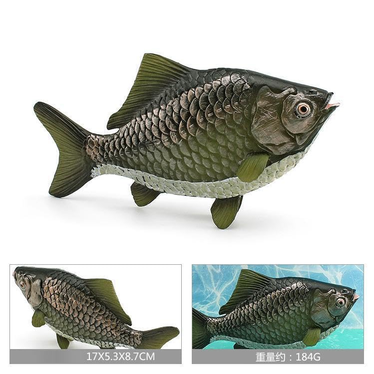 [Nekogamiyama] European Carp, Crucian Carp, Gengoro-Buna, River Fish, Lake Fish, Figurine Model, Miniature Ornament, Interior Decor, Collectible Model