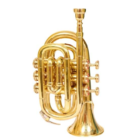 Блестящая латунная карманная труба с мундштуком и кейсом для переноски