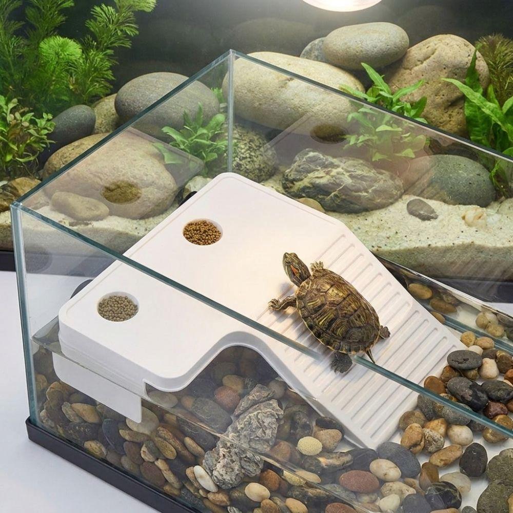 Stable Turtle Floating Platform Non-Slip Turtle Climbing Slope Reptile Ramp Aquarium