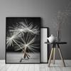 Picture, poster Framed 53x73 cm Dandelion P521