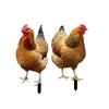 2x Статуэтки кур на колышках для сада, табличка для двора, реалистичные фигурки кур, втыкаемые в землю, для патио, газона, дорожки, фермерского дома