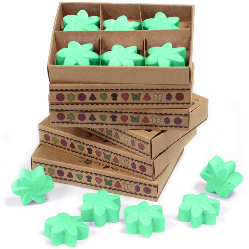 2x Wax Melts Box - Hidden Garden