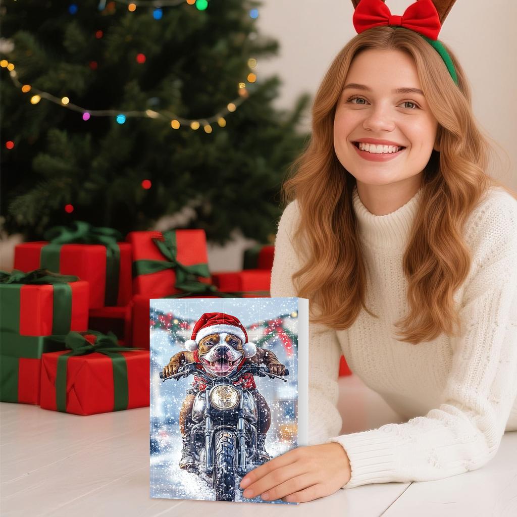 Адвент-календарь содержит 24 подарка, милые фигурки кукольный адвент-календарь, календарь обратного отсчета с игрушками-сюрпризами, коллекционные фигурки в подарок для детей