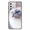 Glass Case For Samsung Galaxy A16 5G Phone Case Soft Bumper Tempered Glass Hard Back Cover For Samsung Galaxy M55 S25 Plus Case