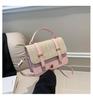 Stylish 2024 New Street Fashion Women's Shoulder Bag Chain Crossbody Bag
