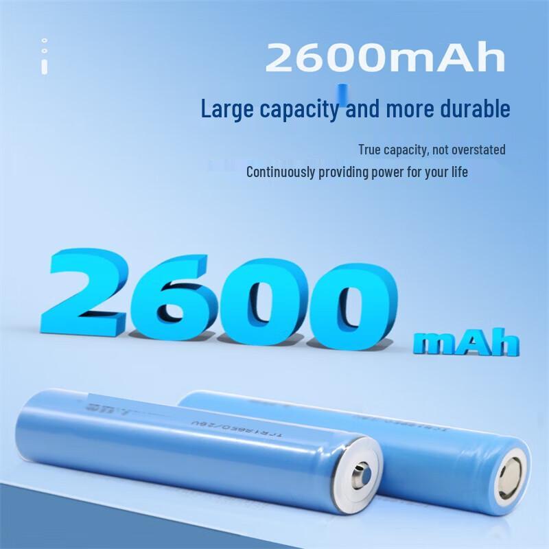 Xinkaicen 18650 Lithium Battery and USB Charger Kit