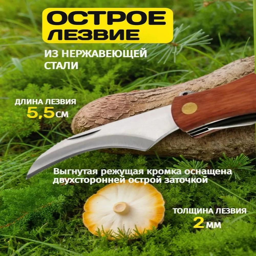 Mushroom Picker s Folding Knife with Opener Corkscrew Brush and Case Outdoor Knife