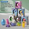 Hot-Selling Dinosaur Egg Toy: Water-Activated Hatching Soft Dino Model Gift