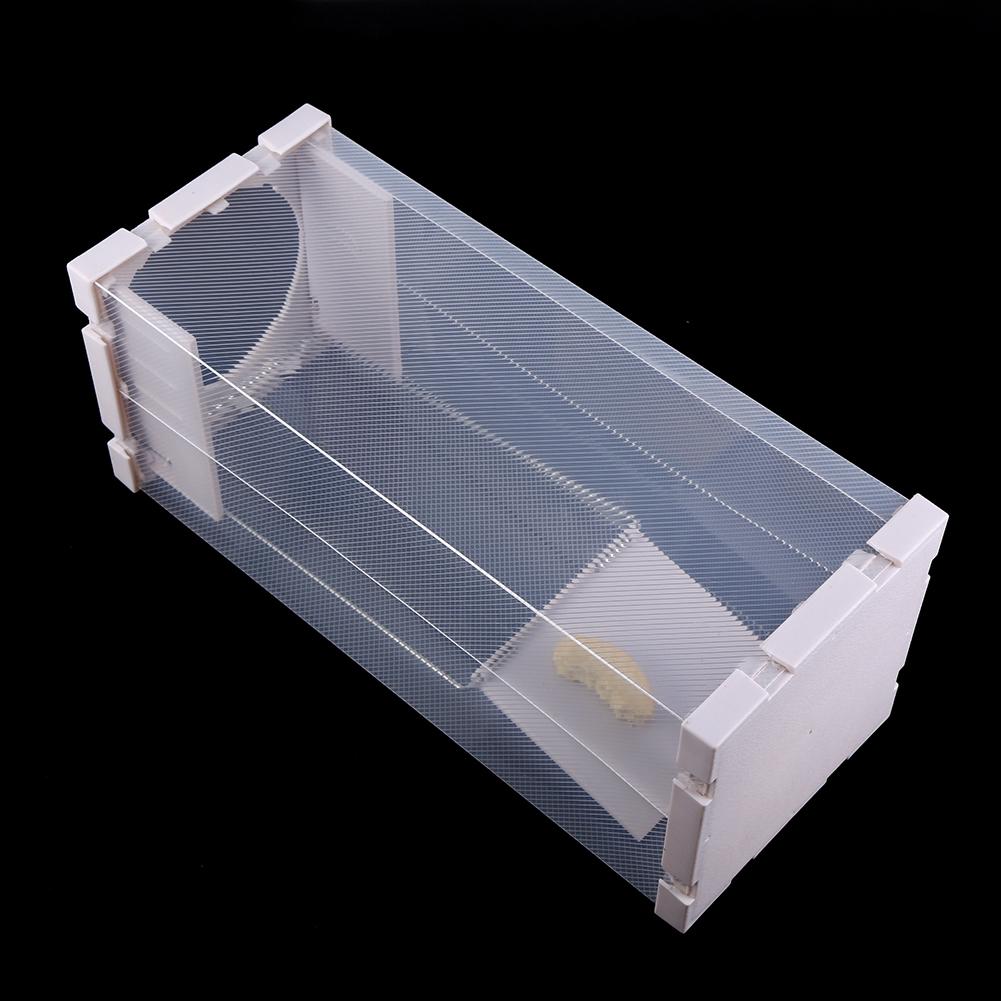 Гуманная крысоловка Клетка Живые животные Вредители Грызуны Мыши Борьба с мышами Приманка Поймать