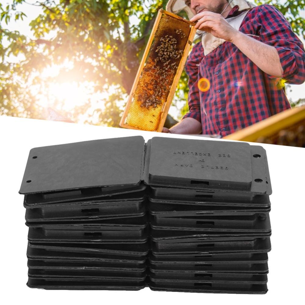 20pcs Black Broodlings Trap Plastic Beehive Beetle Trap Easy Beetle Catch Box Beehive Use