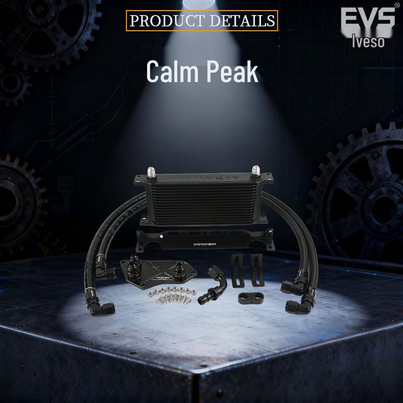 BMW F Series F30 320i/328i N20/N52 Engine Oil Cooler and Radiator Kit