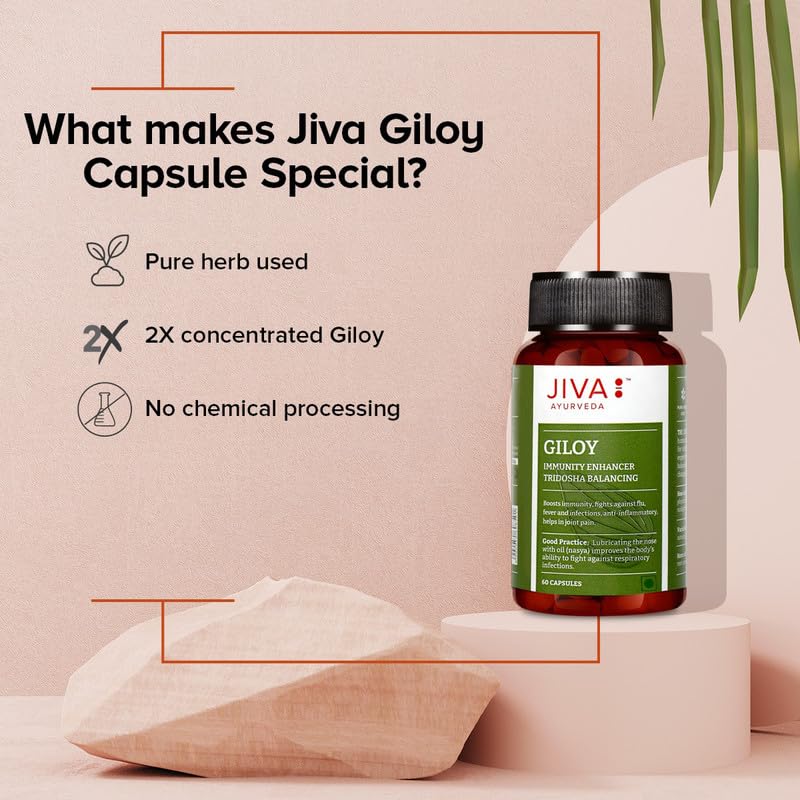 Jiva Giloy Herbal Capsules 60 Count X Pack of 4 | Natural Immunity Booster & Anti-Aging Supplement for Daily Wellness