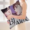 BJ Alex Чехол для подушки Декоративная подушка Диван Домашний декор Чехол Чехлы для подушек