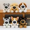 Boutique Cute Eight-inch Plush Toy Big Head Dog Doll Grab Machine Doll Wholesale Puppy Doll Birthday Gift