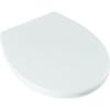 Plastic Soft Close Toilet Seat