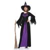 New Halloween Witch Costume Adults Role-Playing Purple Witch Dress Cosplay Costume