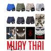 Berserk Muay Thai Kick Boxing UFC MMA Mixed Marcial Art Shorts Anime Men Women Unisex Double Layer Quick Dry Breathable Sport Gym Fitness Workout
