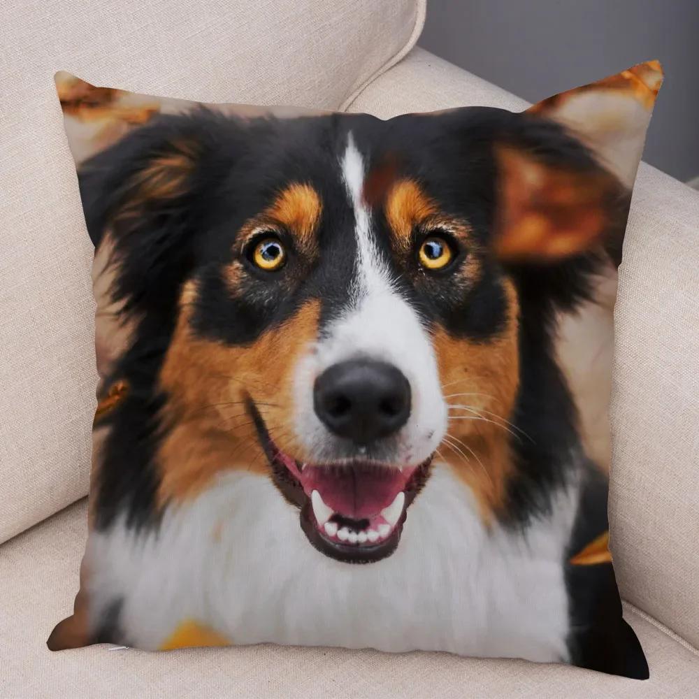 Милый Домашний Питомец Наволочка Шотландия Бордер Колли Наволочка для Дивана Автомобильного Декора Принт Собаки Мягкая Плюшевая Наволочка