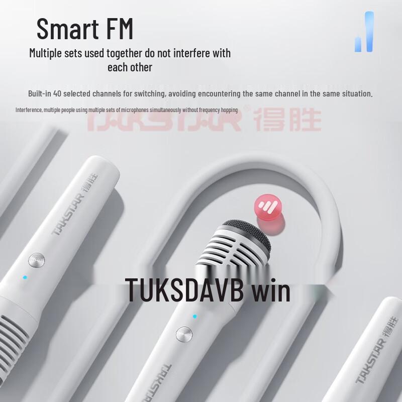 TAKSTAR HM-300W Wireless Handheld Microphone