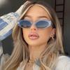 2023 New Vintage Women Sunglasses Small Retro Glasses Women/Men Leopard Eyeglasses Women Brand Designer UV400 Gafas De Sol