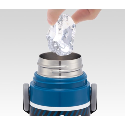 Skater Children's Water Bottle, Direct Drinking, 470ml, Pokemon Design, Size 25, Boys, Insulated, Stainless Steel, Lightweight, Sports Bottle, Kids' W