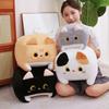 Lovely Square Cat Plush Toy Fluffy Black Cat Pillow Stuffed Little Kitten Animal Plush Doll Kawaii Home Decoration Birthday Gift