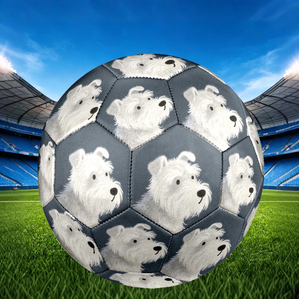 1pc Miniature Schnauzer Portrait Theme Soccer Ball Football, Size 5, Lightweight PVC, Outdoor Training Soccer Ball,Gift c65139