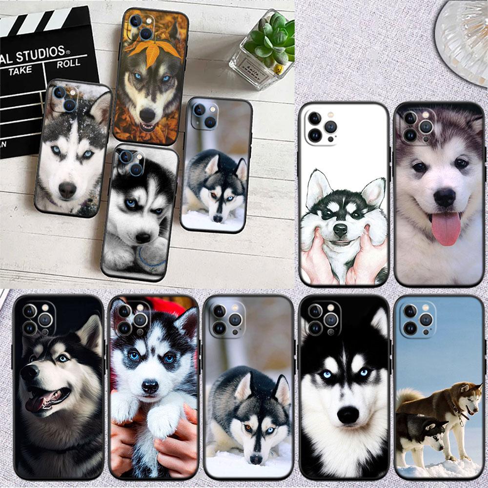CJ66 Husky Puppy Dog Soft Shell Phone Case for Redmi Note 10 11 12 Pro Max 10S 10C 10T 11A 11S 12S 12C