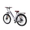 BEZIOR M3 48V10AH electric bicycle men's 500W brushless motor, 26 inch tires electric bike for women