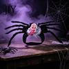 Lightweight Pet Cosplay Costume for Halloween Spider Costume, Cat Outfit with Skull Face, Black Soft Fabric Apparel Cats Holiday Dogs Party