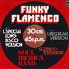 12-дюймовая пластинка SOUL IBERICA BAND - Funky Flamenco SNP67PROMO Philips 1976 Япония Соул/Фанк Б/У